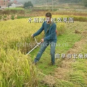 �ĳ�����ɳ��ݻ� С��԰�ֻ�е�ĳ�̱�Яʽ������