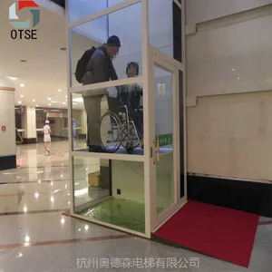 国产螺杆电梯//小型无机房家用电梯//无底坑复式楼电梯