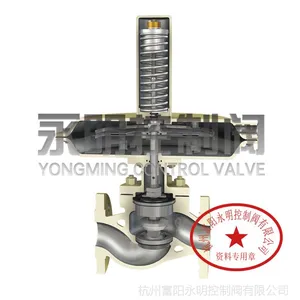 ZZVP��DN300����ʽ΢ѹ���ڷ�����Ȼ��ר����ȡѹ��ѹ��