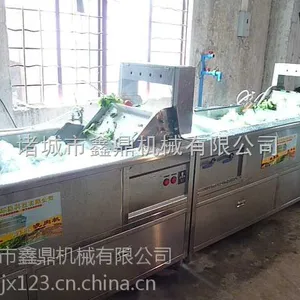 毛豆清洗机***格 新品发布 价格实惠