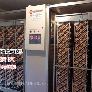 倍立孵化箱30240枚全自动孵化机大型孵化设备