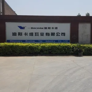 济南迪斯卡维瓦业有限公司