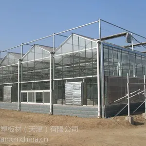 天津柯云阳光板供应耐力板阳光板价格低廉可定做