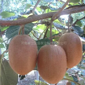 ���ֵ�⨺����纣�ֵ�������纣�ֵ�⨺�������⨺�����