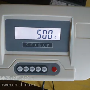 工业电子天平,称重仪表100KG 1G