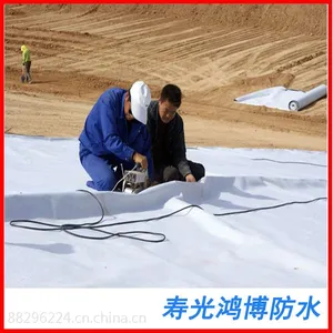 厂家热销优质聚氯乙烯PVC高分子防水卷材 环保无污染 厂家直销