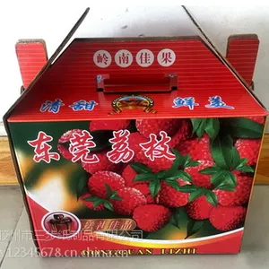 平度纸箱厂批发供应荔枝包装箱定做外包装箱