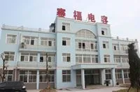 安徽赛福电子有限公司