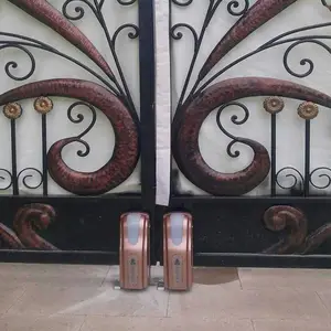 ����綯�� ���մ���ң�ضԿ���ʽƽ���ŵ�����綯���Ż���ͥԺƽ���綯��