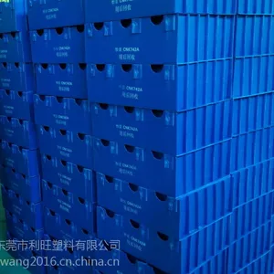 厂家直销 防静电 塑料包装箱