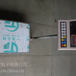 临沧凤尾150kg电子计价台秤