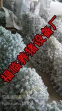 自动料线安装报价说明,福临自动化养猪设备自动上料设备自动启动,为料槽供料,减少猪场人员的劳动强度
