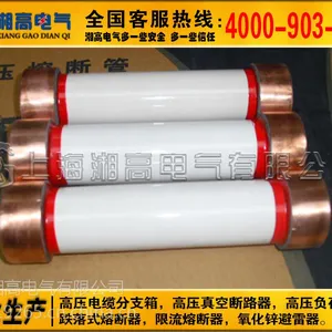 RN1-12/30A 50A 63A 100A户内高压限流熔断器