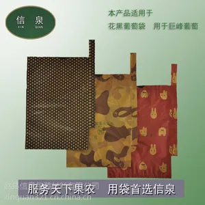 供应葡萄套袋葡萄育果袋水果套袋