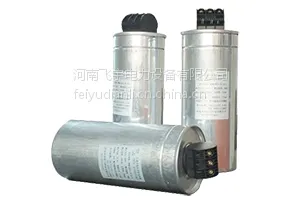 自愈式低压并联电容器-FYMJ