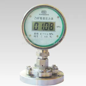 CYF-100数显压力表
