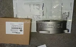 斯派莎克DCV3止回阀