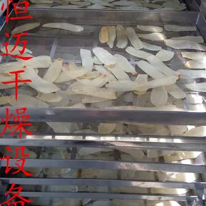 供应酸枣仁 茯苓片烘干专用箱式烘干设备 烘箱 中药饮片家用型烘干房