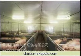 东荣供应阳江高压降温喷雾消毒设备(PLC-MD300G)