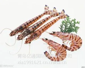 进口EMS快递清关代理公司/青岛进口海鲜水产品清关代理公司