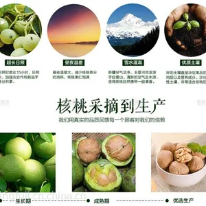 宁福吉新疆薄皮核桃35mm以上