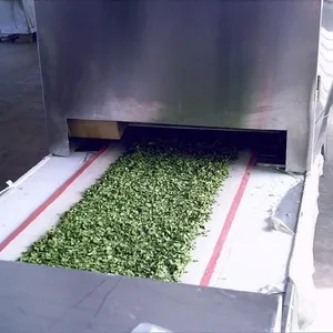 供应微波杀青设备