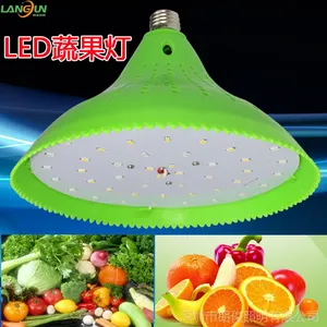 厂家直销 蔬果生鲜灯 水果专用灯 LED蔬果灯 超市LED蔬果蔬菜灯