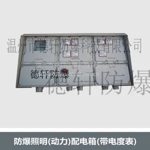供应山东防爆照明（动力）配电箱、德轩防爆非标箱
