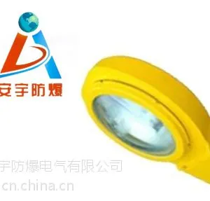 BFC8120-N70WF1/220V(8米灯杆)防爆马路灯山海-亚明光源