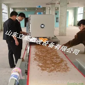 山东立威微波设备厂家专业供应黄粉虫微波干燥设备