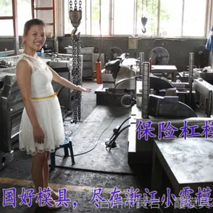 泵把杠注塑注塑模具多少钱 塑胶挡泥板注塑模具多少钱 注塑模具