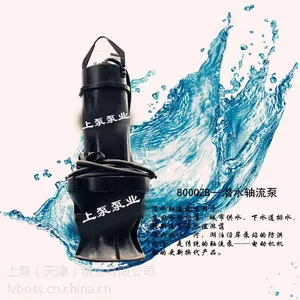 大型潜水轴流泵生产厂家