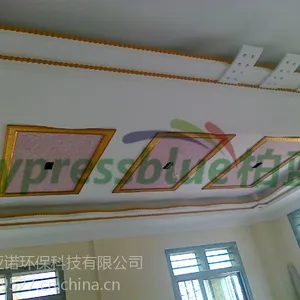 前途漫漫任我闯,柏蓝墙衣伴成长