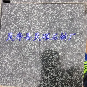 ֱ��ɭ������֦�� ɭ����ʯ�Ĺ��� ��ɫ�����ҳ��� ��˶ʯ�ĳ�