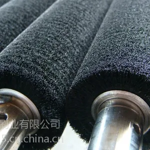 供应优质毛刷辊、条刷、弹簧刷、清洗刷、各种异形刷辊、质量可靠、规格客户定做,正品,信誉