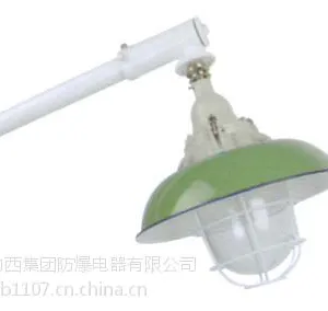 德力西BAP52防爆平台灯 BAD56隔爆型防爆灯 防爆平台灯厂家