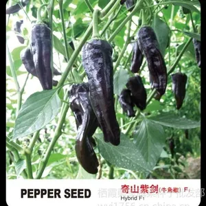 ��Ӧ���� �߲� ���� ������������ ������ֲ��Ʒ