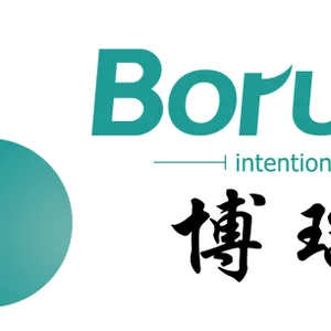 青岛博瑞特硅能科技有限公司