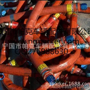 ��Ӧ�轺���˸����׹� ������ ��Ե��