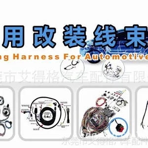 Edgar Wiring Harness For Automotive