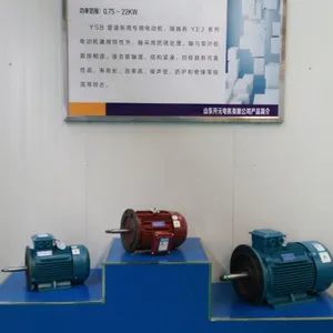 ��Ӧ������YSB�ܵ���ר�������첽�綯��