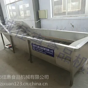 菠萝蜜 大枣鼓泡式清洗机