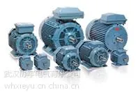 ABB����QAMTϵ�е�� QAMTϵ�в�����е�������첽�綯��