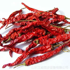 进***辣椒微波烘干设备价格