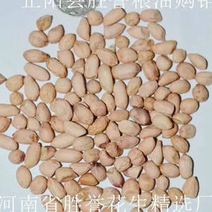 正阳花生米批发 剥皮花生仁 滚面花生 磨酱花生米吃花生米