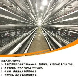 晟兴牧业定制各类型养鸡设备,鸡笼,全自动养鸡设备,蛋鸡设备