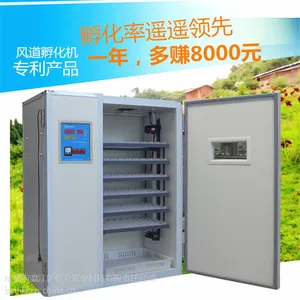 四川倍立孵化箱1056枚小型全自动孵化机家用型孵化器
