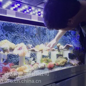 上海供应海水鱼鱼缸*上海高品质海水鱼鱼缸定制厂家*一川供