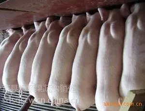山东仔猪基地批发销售