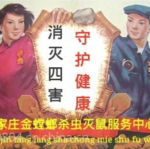 衡水专业灭蟑螂|衡水专业灭鼠公司|衡水专业灭老鼠|衡水除虫公司